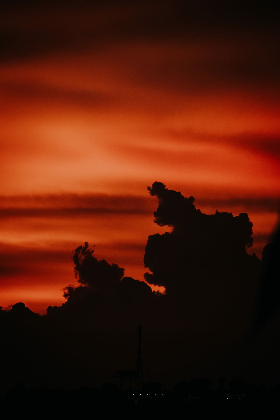 tree silhouette at golden hour, silhouette photo of trees during golden hour HD wallpaper