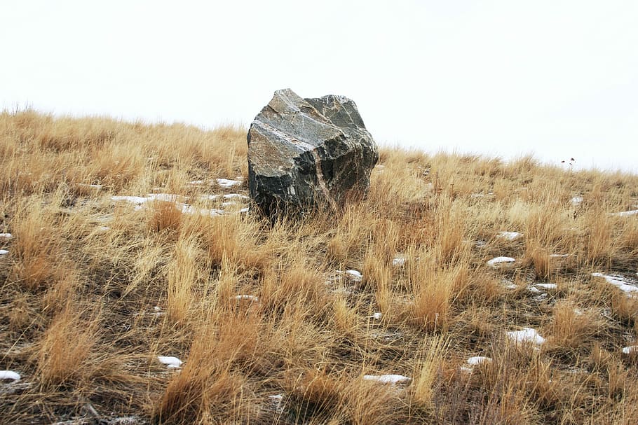 Boulder, Field, Grass, Rock, Stone, landscape, nature, no people HD wallpaper