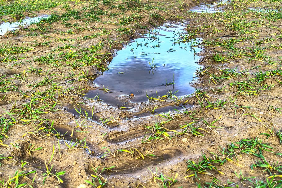 puddle, mud, water, water puddle, mirroring, reflection, dirt HD wallpaper