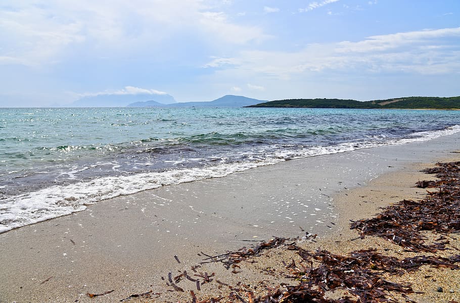 shoreline near mountain, sea, beach, water, surf, strandline HD wallpaper