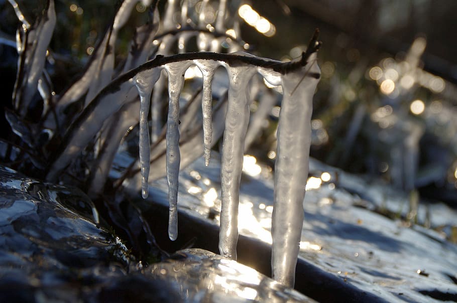 icicle, cold, back light, ice, winter, frozen, nature, wintry HD wallpaper