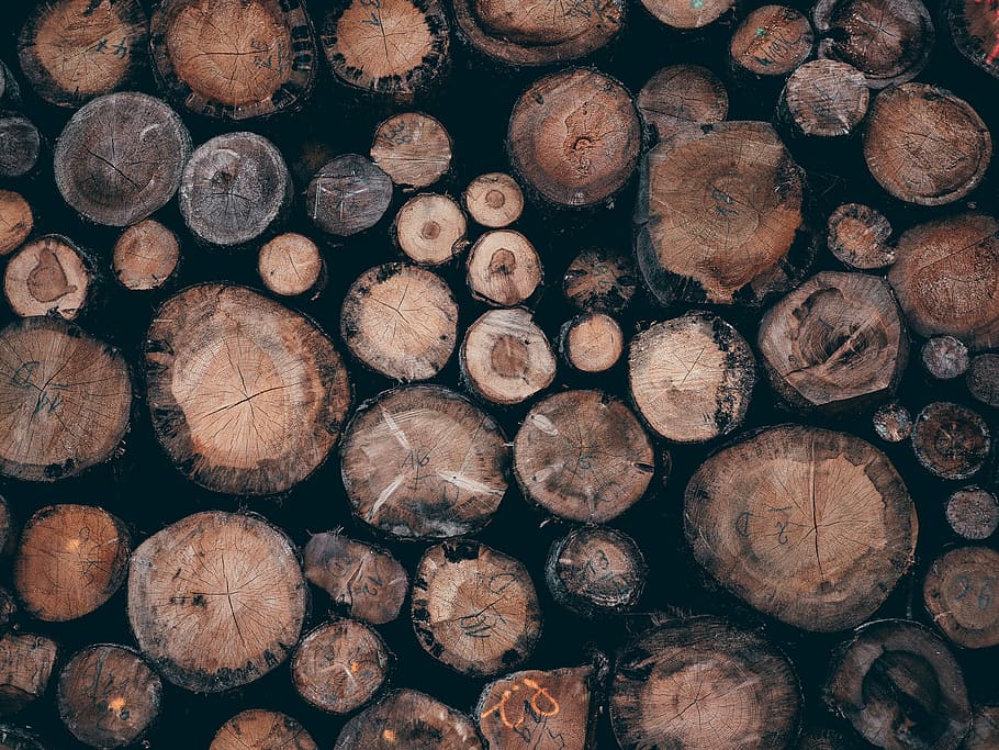 pile of brown wooden logs, pile of log wallpaper, lumber, timber HD wallpaper