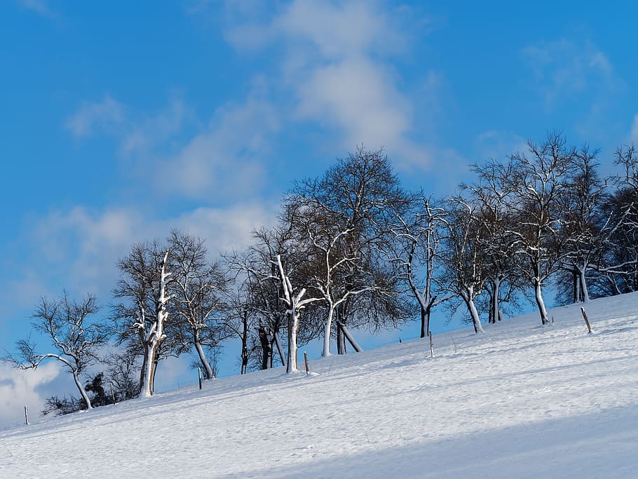 landscape, winters, hill, snow, field, cold, winter landscape HD wallpaper