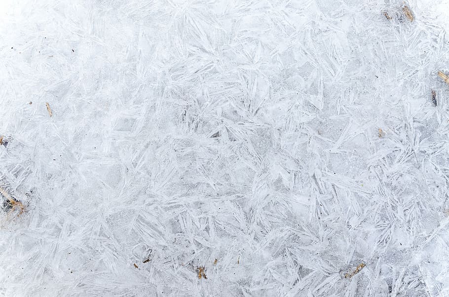 pattern, winter, cold, ice, blue, texture, frost, background HD wallpaper