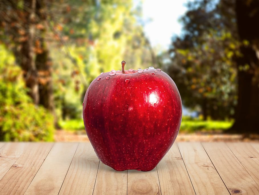 food, apple, trees, blur, bright, close-up, depth of field, dewdrops HD wallpaper