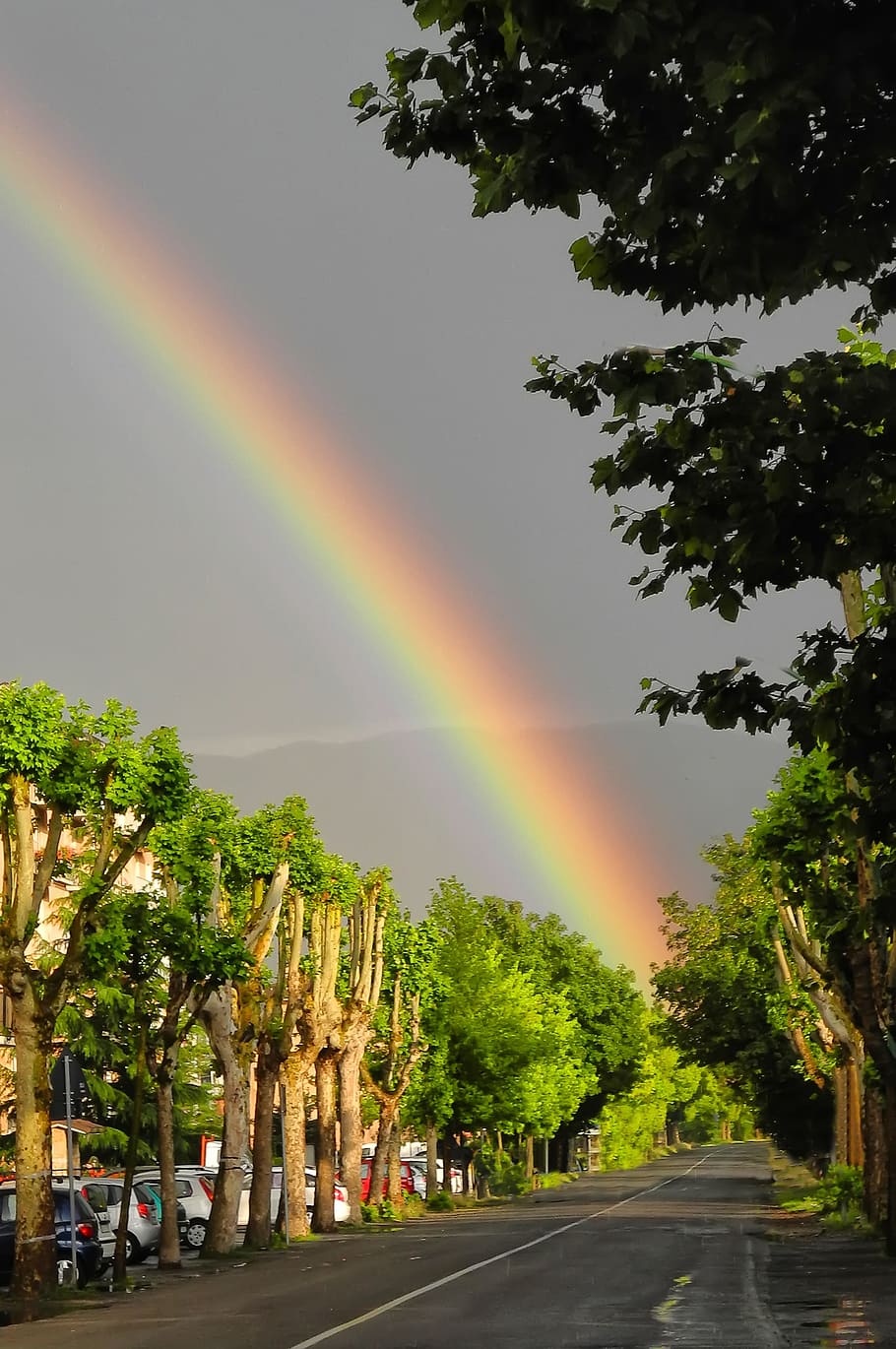 Rainbow, Thunderstorm, Sun, street, night, outdoors, nature HD wallpaper