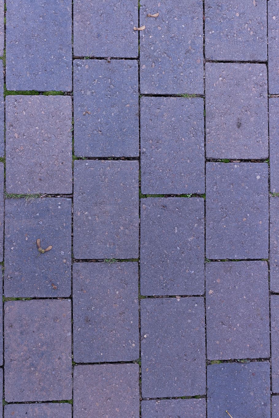 Paving Stones, Joints, Structure, Patch, texture, pattern, ground HD wallpaper