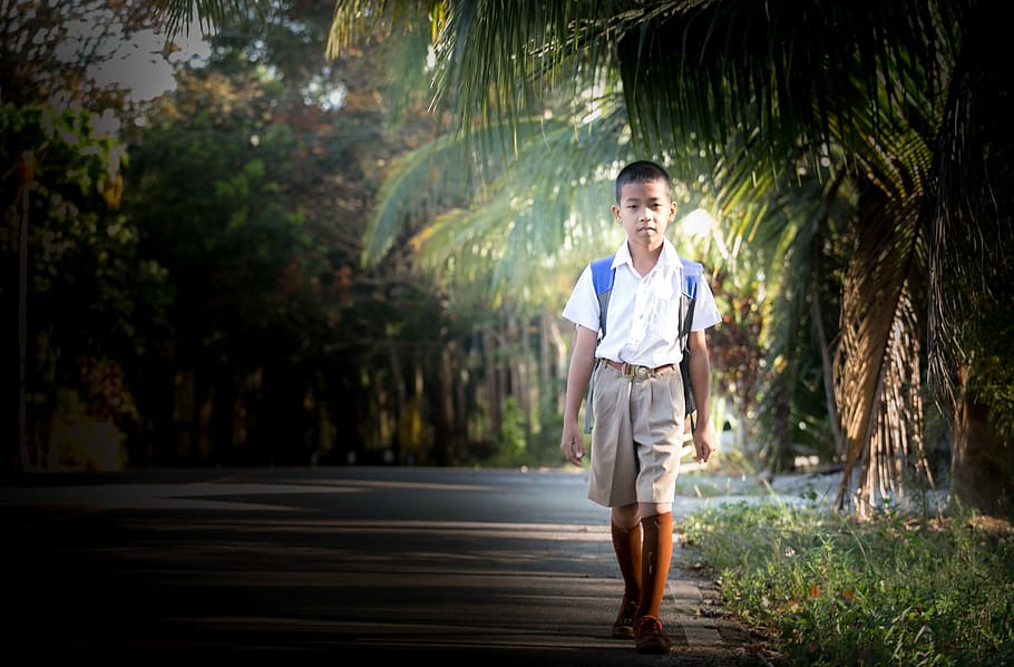 school, student, dog, child, full length, one person, young adult HD wallpaper