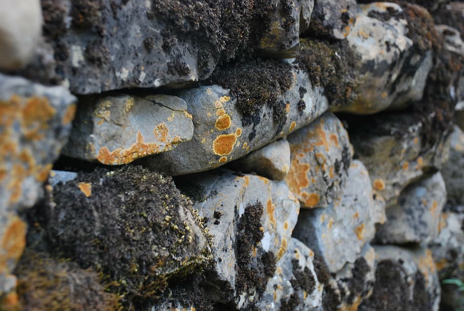 wall, pyrenees, moss, lichen, rocks, path, backgrounds, pattern HD wallpaper