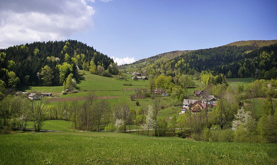 Mountains, Spring, Forests, Meadows, pass, landscape, nature HD wallpaper
