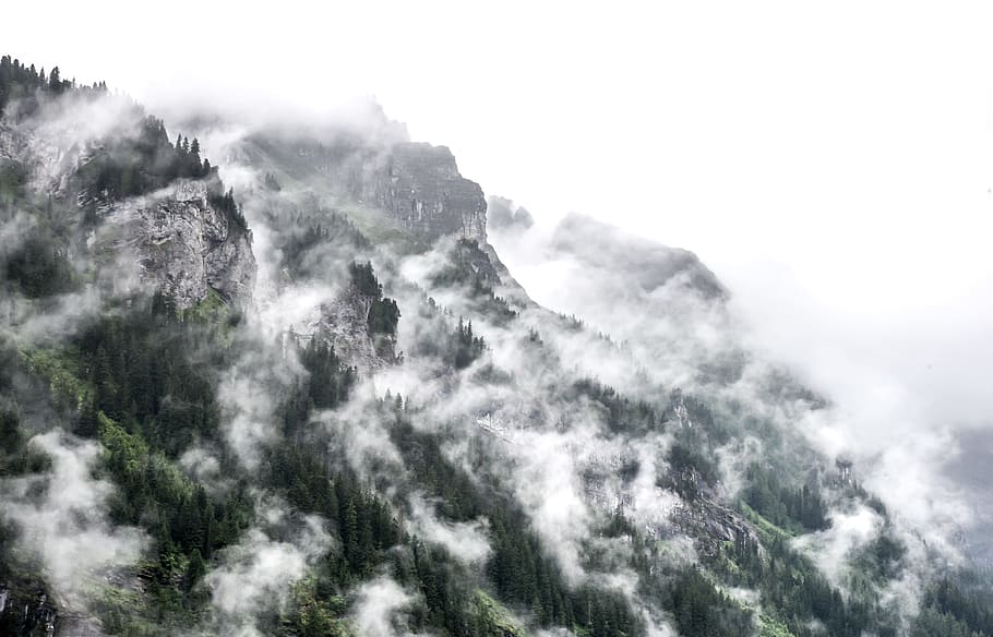 landscape photography of mountain, fog rising above pine trees on side of mountain at daytime HD wallpaper