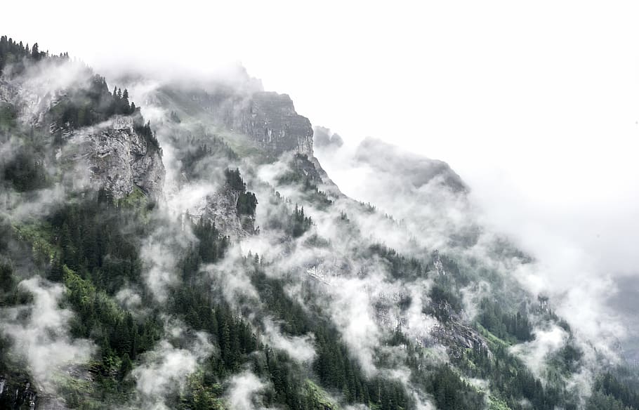 clouds, fog, mist, mountain, outdoors, scenic, sight, trees HD wallpaper
