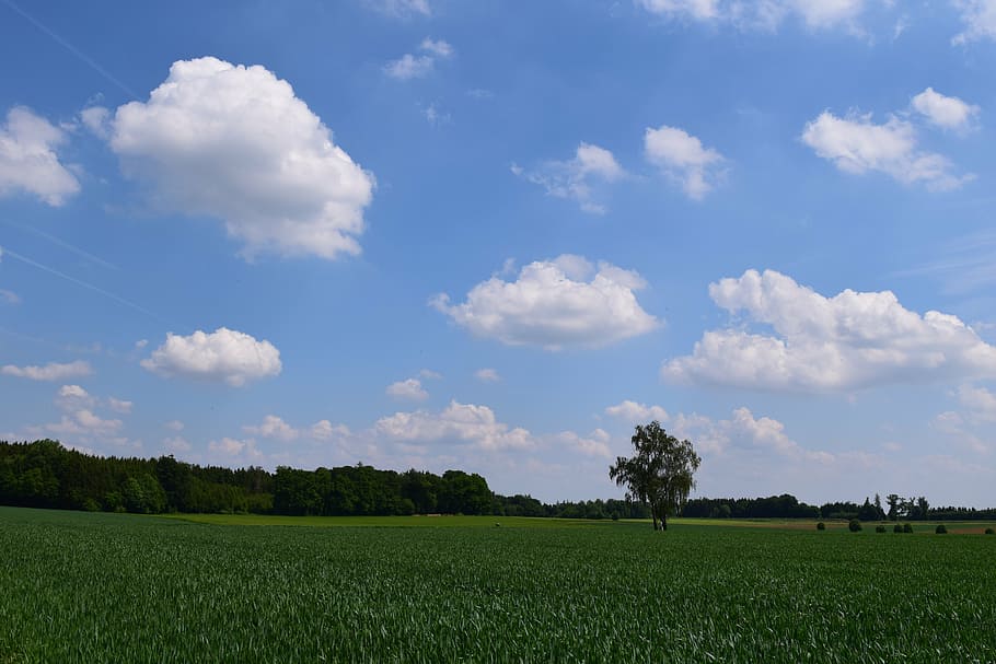background, sky, clouds, blue, landscape, nature, fields, corridors HD wallpaper