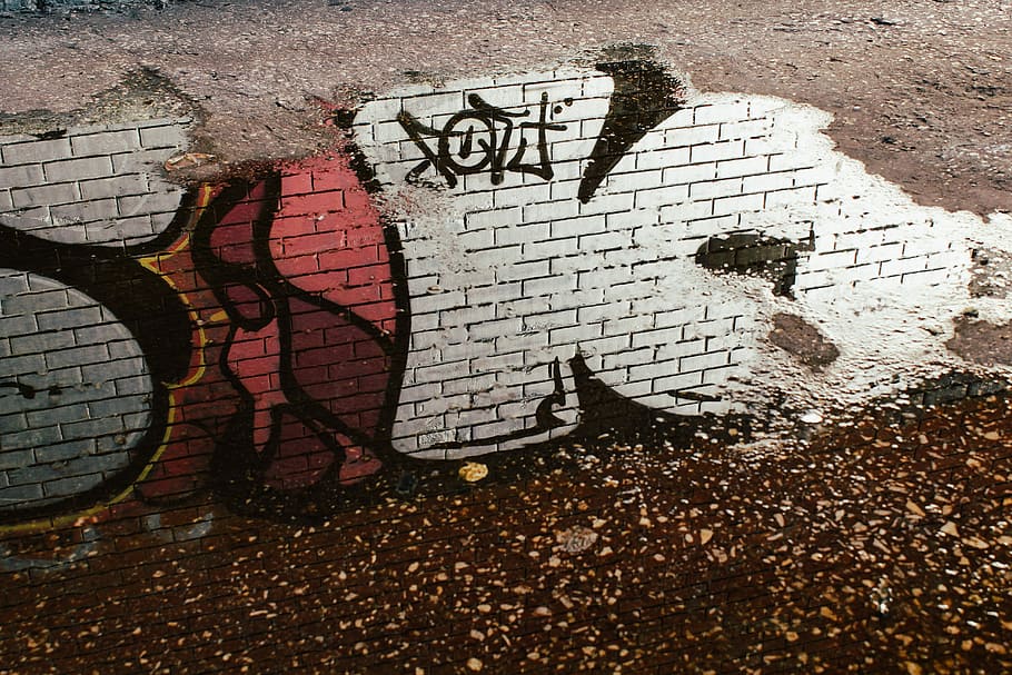 multicolored graffiti on brick wall at daytime, reflection HD wallpaper