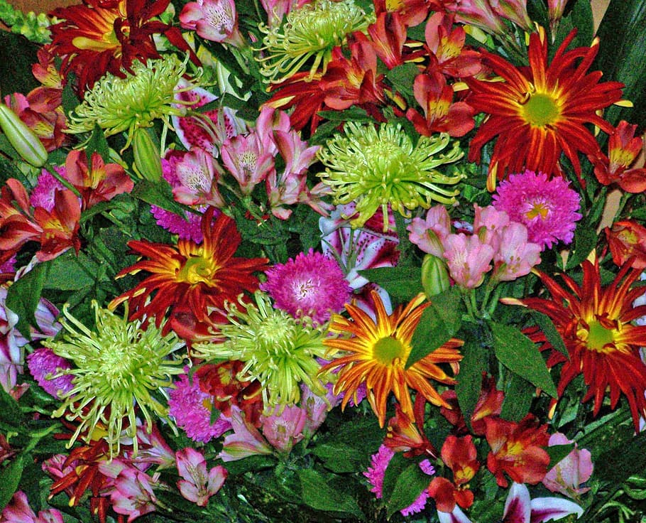 assorted-color flowers in bloom, wedding, blossom, colorful HD wallpaper