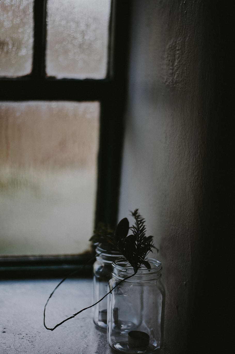 Jars on windowsill, plant in jar, old, glass, foliage, indoors HD wallpaper
