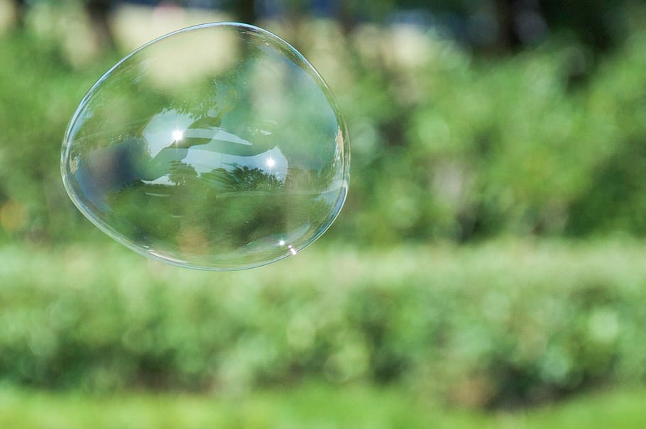 bubble, green, afternoon, transparent, sphere, nature, plant HD wallpaper