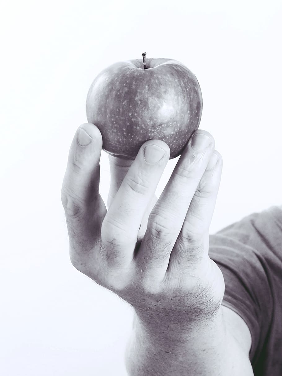 apple, hand, fruit, vitamins, healthy, food, delicious, nature HD wallpaper