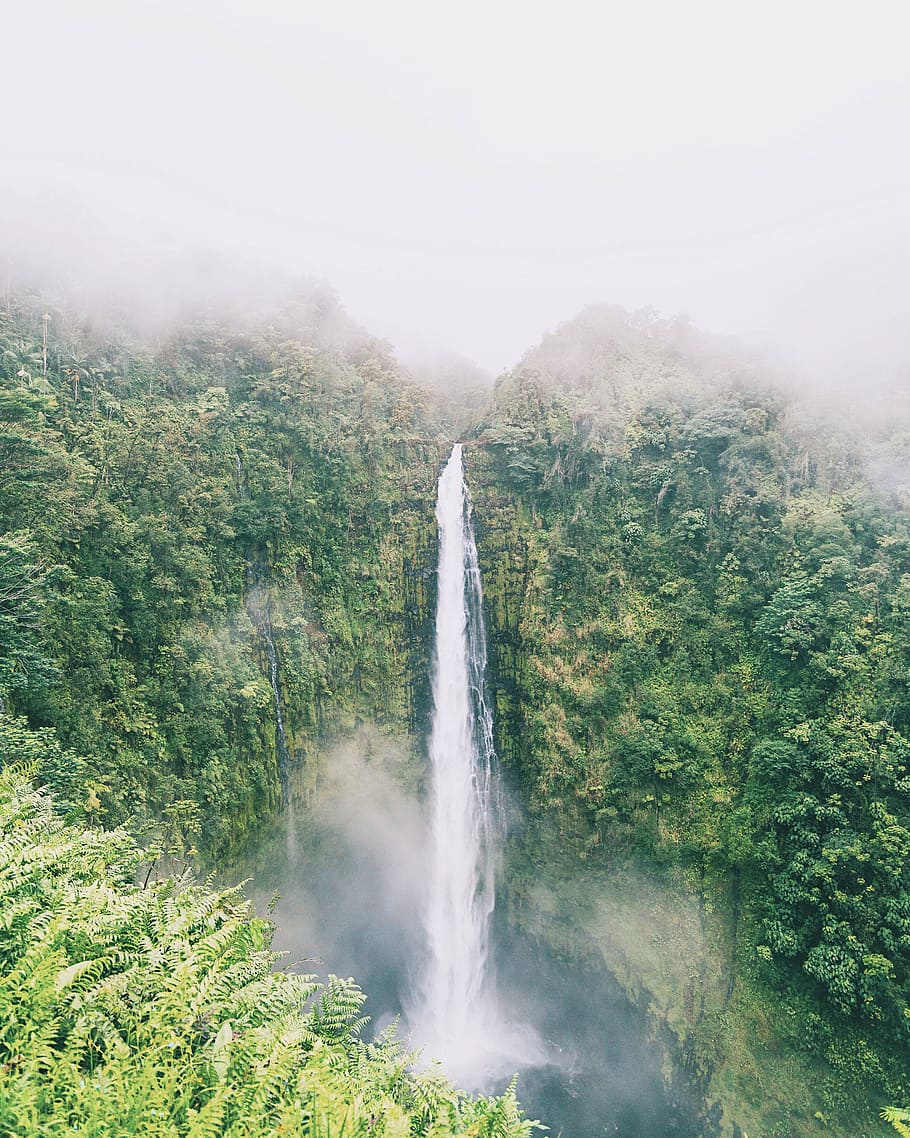 waterfalls with green trees under foggy sky, nature, plant HD wallpaper