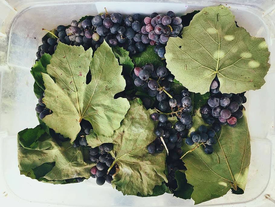 box of grapes, fruits and leaves on clear glass tray, leafe, flat lay HD wallpaper
