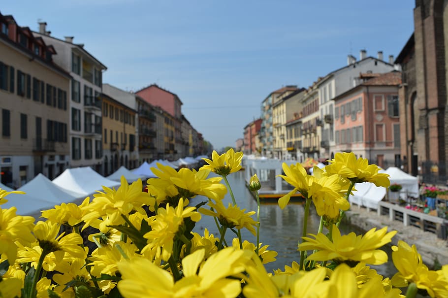 milan, spring, naviglio, architecture, yellow, building exterior HD wallpaper