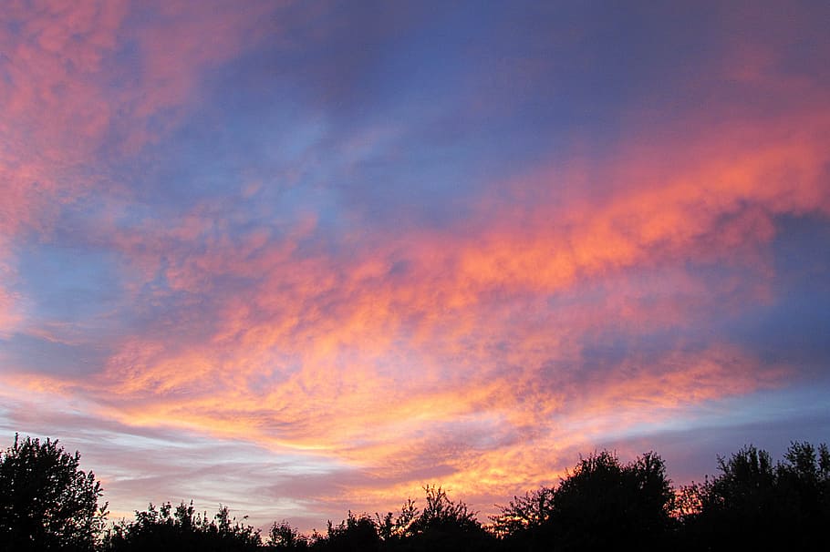 sky, cloud cover, clouds form, sunset, dusk, cloud - sky, tree HD wallpaper