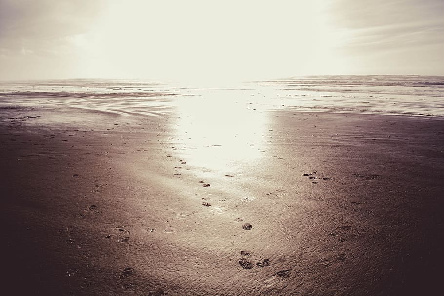 Beach, Sand, sea, water, sunset, nature, scenics, land, horizon HD wallpaper