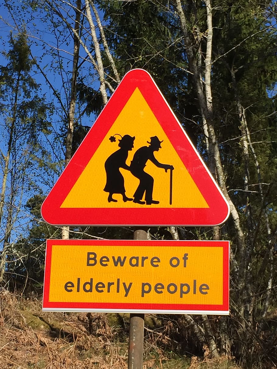 Sign, older, warning, triangle shape, tree, warning sign, road sign HD wallpaper