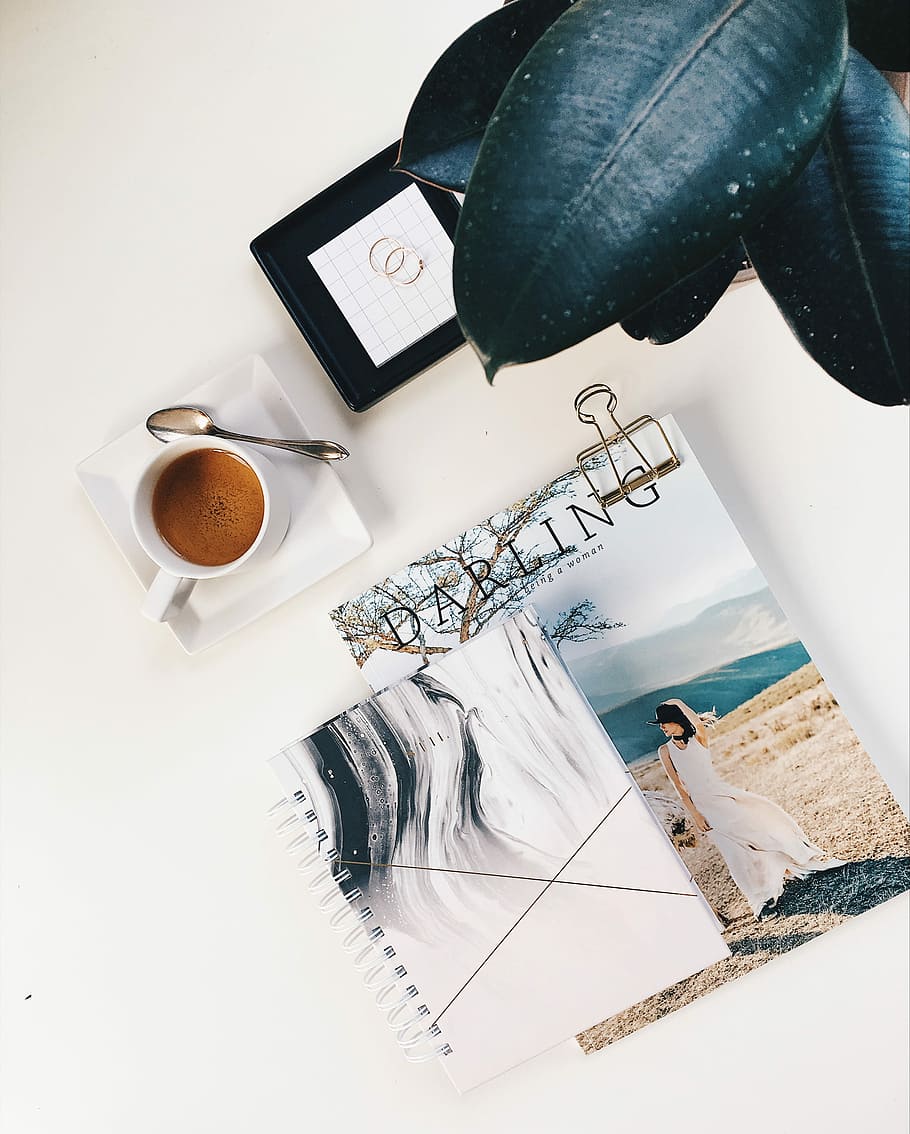 two books beside mug and leafed plant, flat lay photography of cup, notebook, and photo HD wallpaper