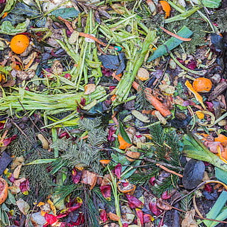 pile of compost, garbage, biological, waste, recipes with leftovers HD wallpaper