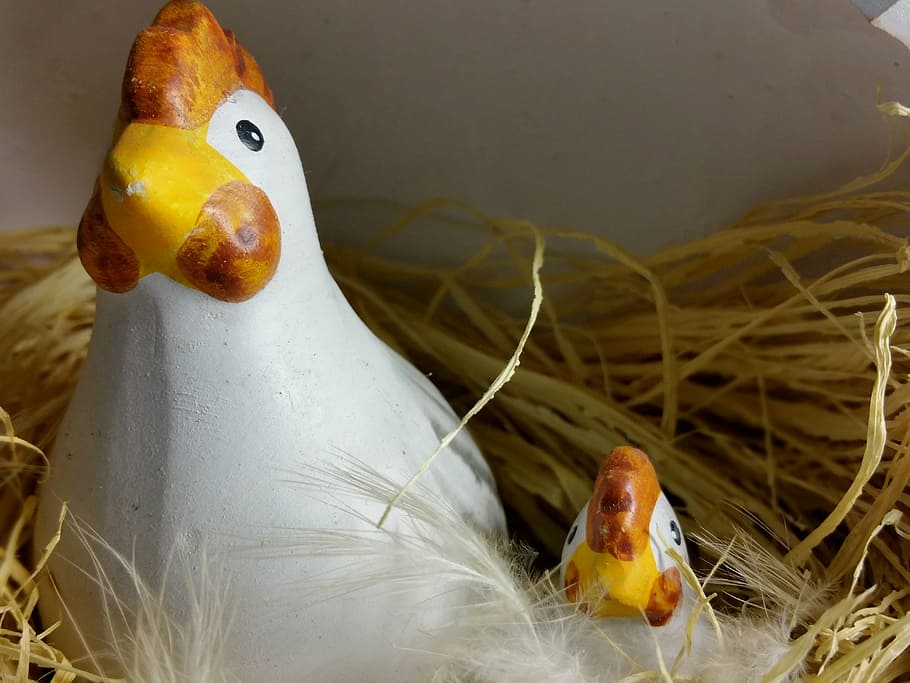 easter, nest, chicken, chicks, spring, bird, animal, farm, animal themes HD wallpaper