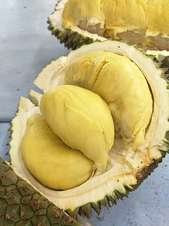 fruit, durian, tropical fruit, food, food and drink, freshness HD wallpaper
