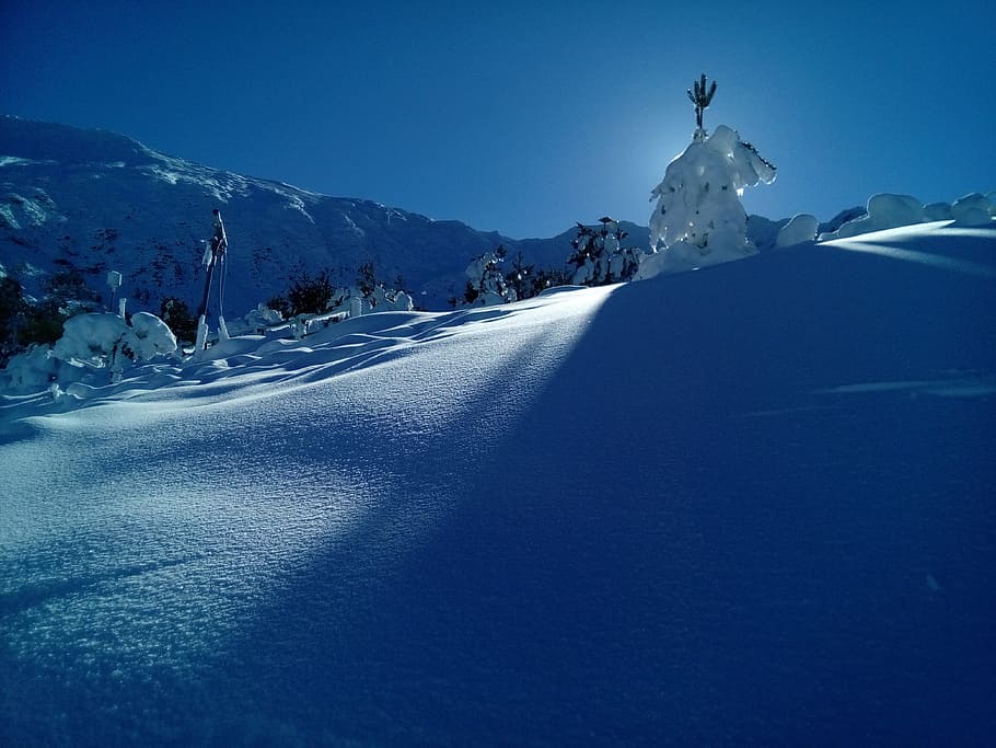 Snow, Nature, Cold, Mountain, Trees, winter, mountain nevad HD wallpaper