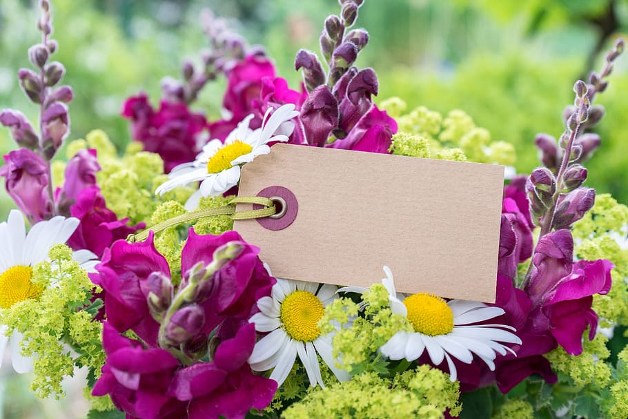 focus photo of pink and white petaled flower bouquet, Map, Message HD wallpaper