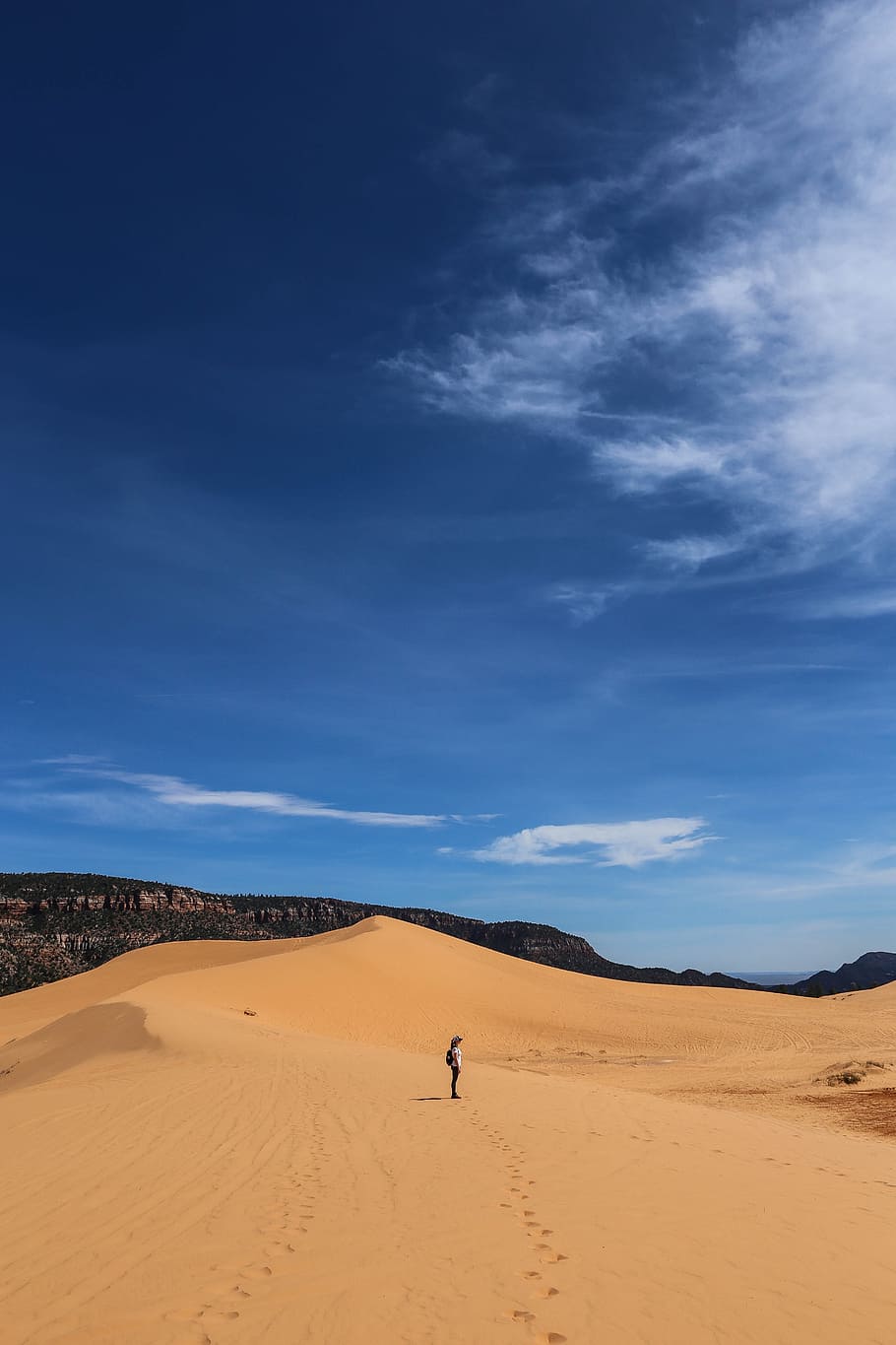 man standing on desert, woman standing on sand during daytime HD wallpaper