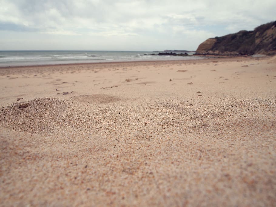 selective photography of shore, beach, brown, gray, pink, sand HD wallpaper