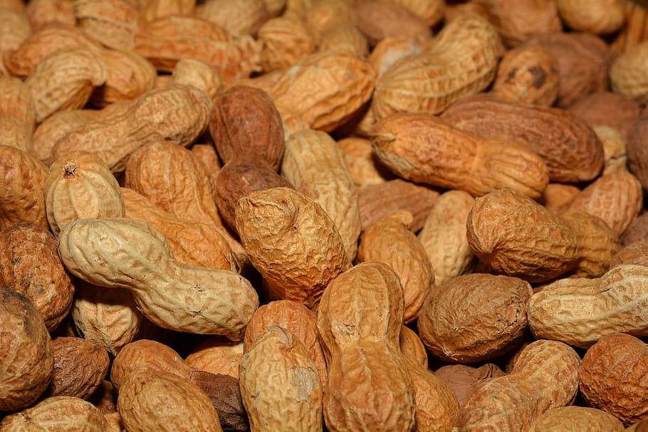 pile of peanuts, healthy, shell, delicious, nutrition, close HD wallpaper