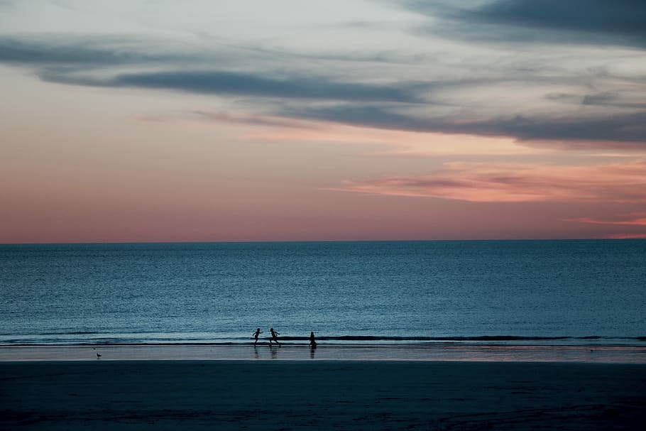 three person on shore near body of water, silhouette of three people by the beach HD wallpaper