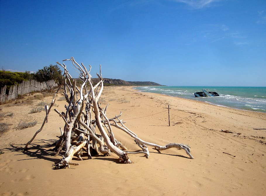 brown twigs on beach, ship, sea, forward, wave, shipwreck, death HD wallpaper