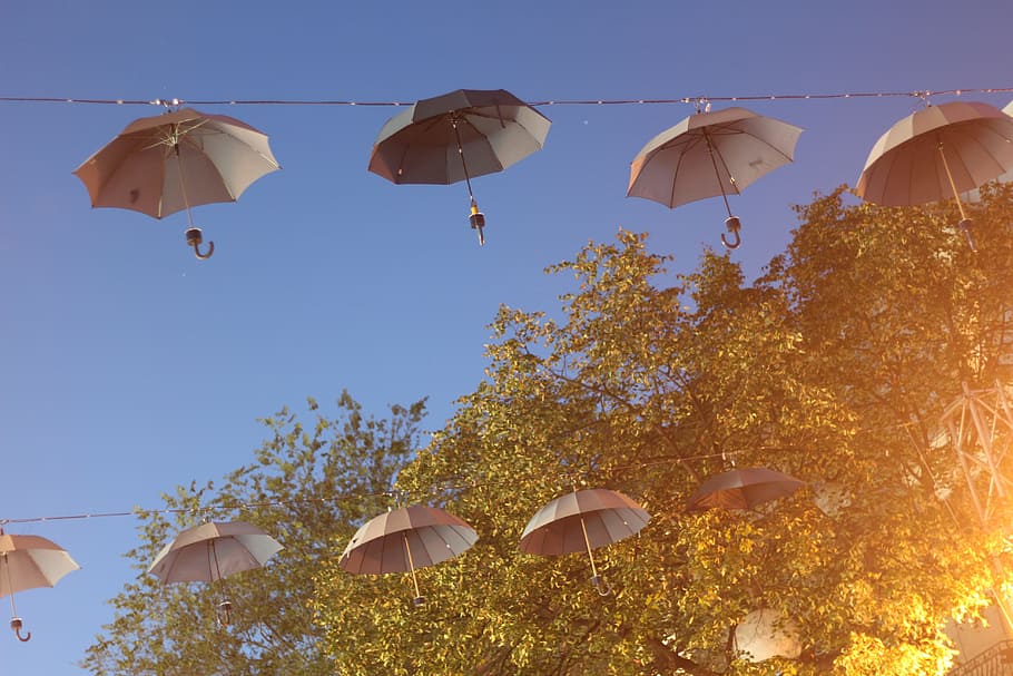 blue, sky, trees, plant, nature, umbrella, design, art, lights HD wallpaper