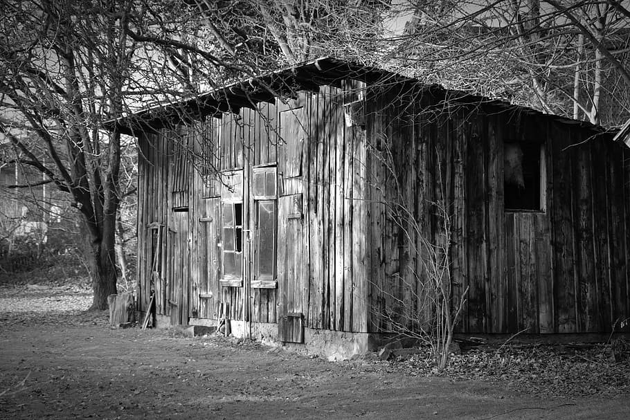 grayscale photo of wooden house surrounded by bare trees, wood shed