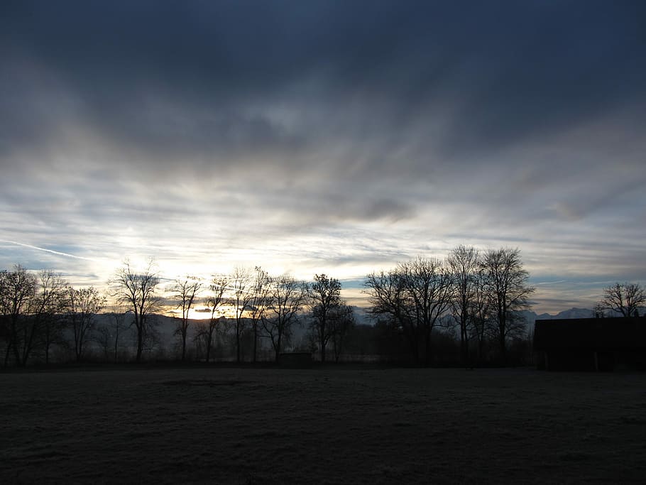 Sunrise, Alpine, Clouds, View, sky, nature, scenics, tree, tranquility HD wallpaper