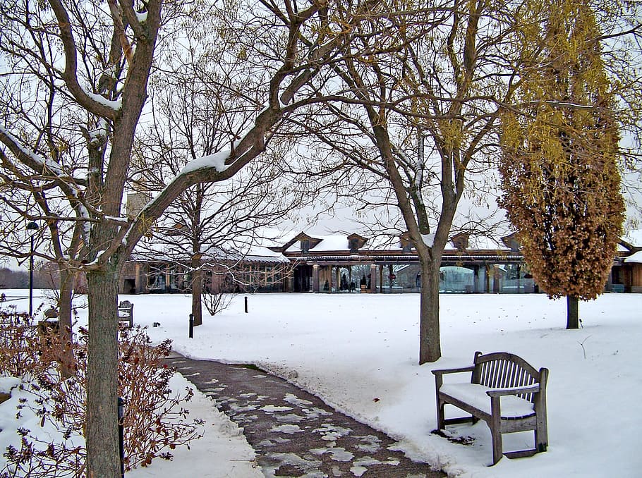 sidewalk, bench, snow, ice, winter, trees, cold temperature HD wallpaper