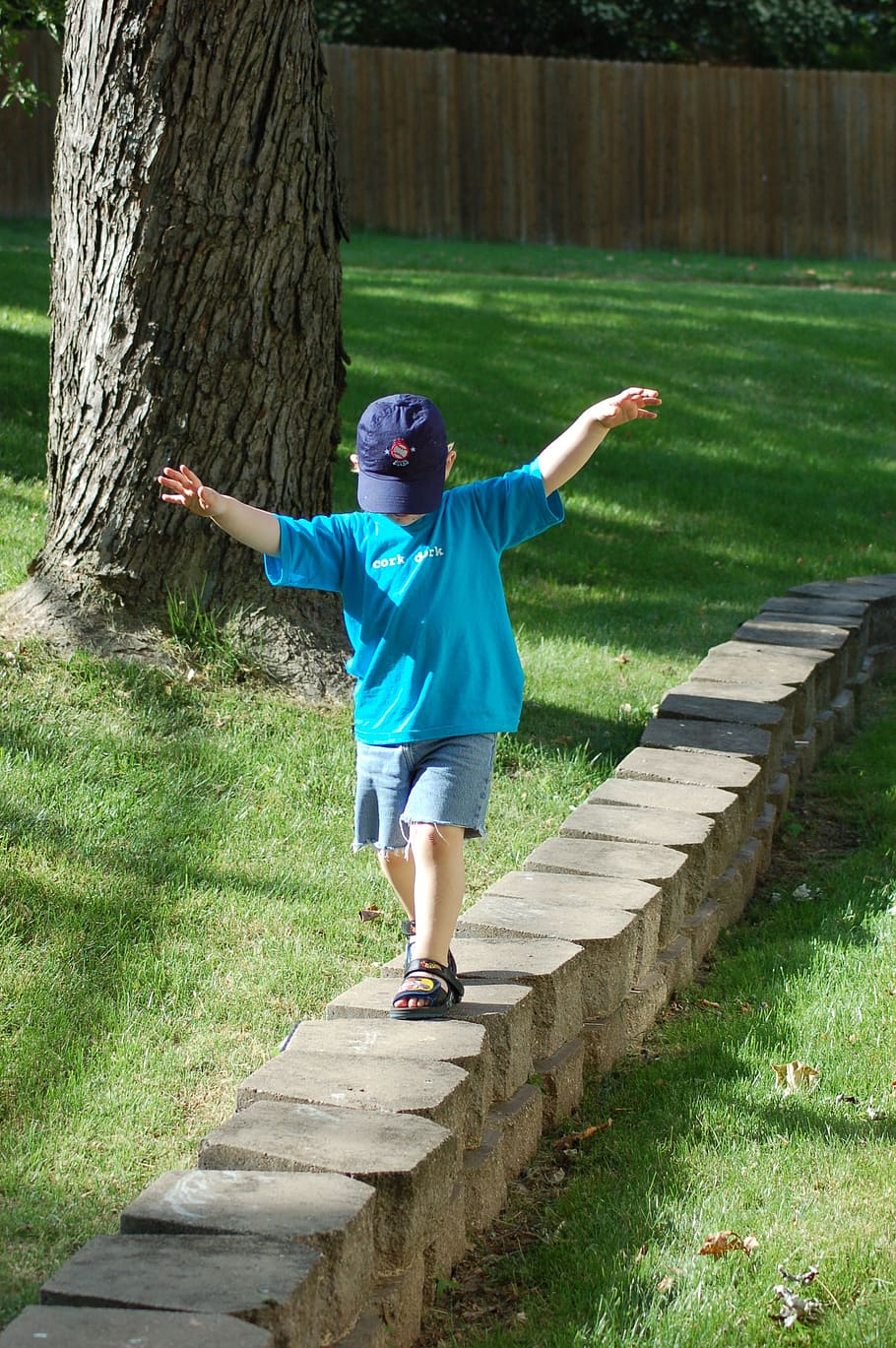 stone wall, child, kid, walking, balancing, balance, cap, plant HD wallpaper