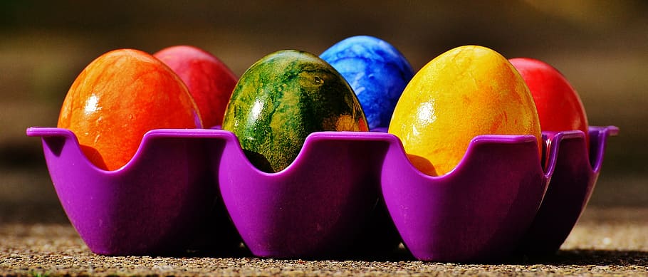 six assorted-color eggs on purple plastic tray, easter, easter eggs HD wallpaper