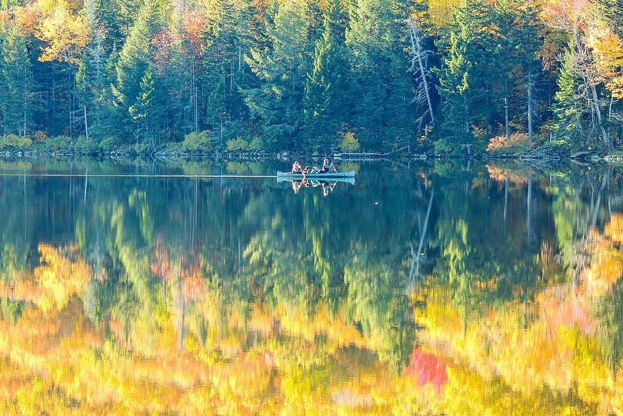 fall foliage, autumn, canoe, nature, orange, yellow, season HD wallpaper