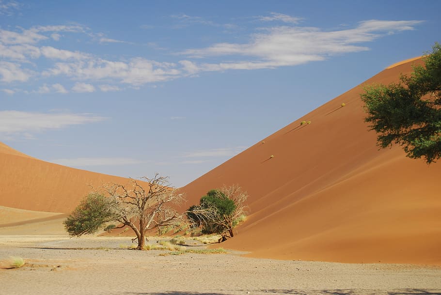 Namibia, Desert, Sand, sossusflei, africa, dune, sossusvlei HD wallpaper