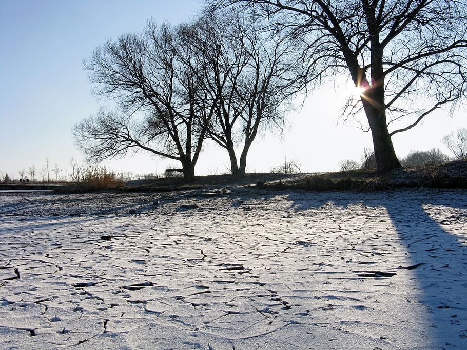 winter, sun, pond, ice, frost, light, nature, trees, sunset HD wallpaper