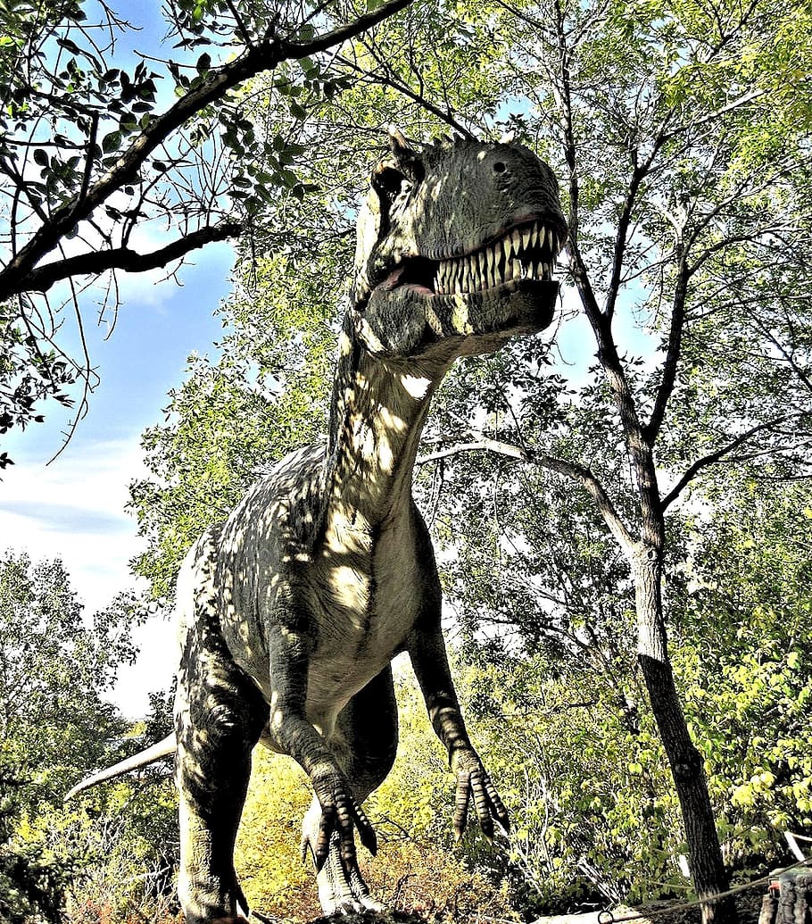 dinosaur, alberta, calgary, dinosaur park, tree, plant, animal HD wallpaper