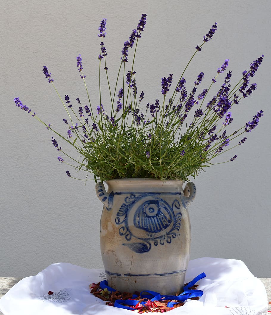 purple flowers on brown pot, Earthenware, Ceramic, Pot, grey HD wallpaper